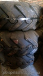 Шина 18.00-25Goodyear L-2 SURE GRIP 4S